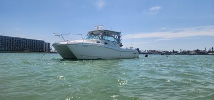 32' World Cat 2008 Yacht For Sale